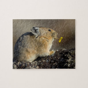 Trumpeting the Sunrise Jigsaw Puzzle