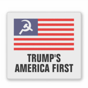 Trump's America First Hammer & Sickle flag vinyl