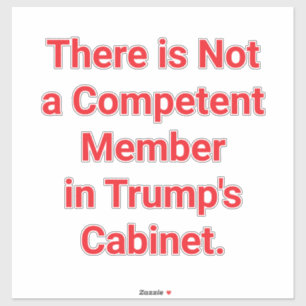 Trump's Cabinet Incompetence Hankamer Artjunkhaus