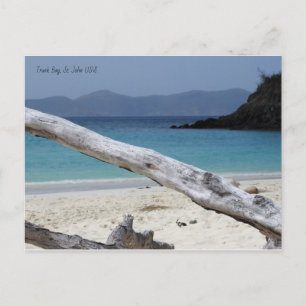 Trunk Bay Beach Postcard