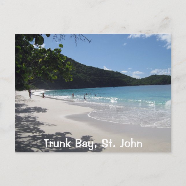 Trunk Bay, St. John Postcard (Front)