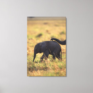 Trunk of elephant touching offspring , Kenya , Canvas Print