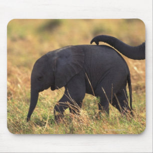 Trunk of elephant touching offspring , Kenya , Mouse Pad