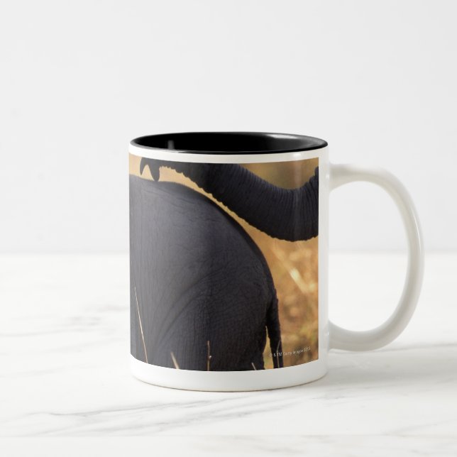 Trunk of elephant touching offspring , Kenya , Two-Tone Coffee Mug (Right)