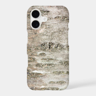 Trunk tree bark pattern