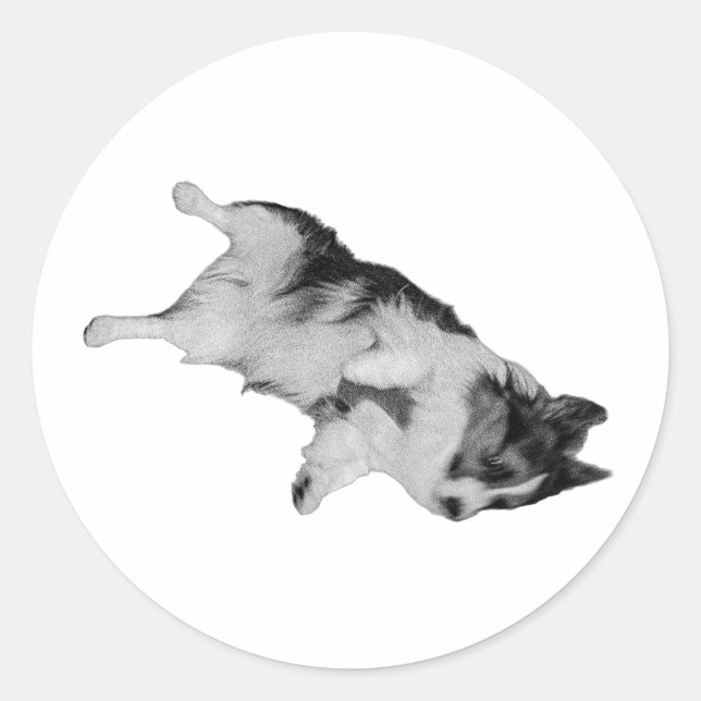 Trust Fall Classic Round Sticker (Front)