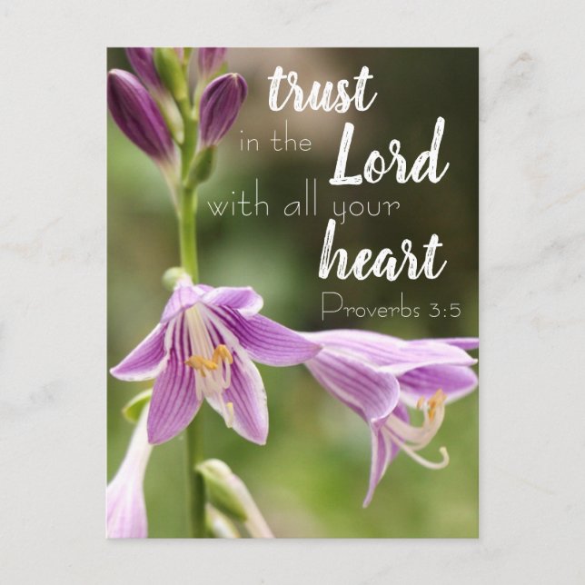 "Trust In the Lord" Flower Photo Postcard (Front)