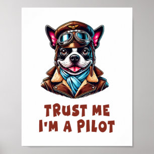 Trust Me, I'm A Pilot Poster