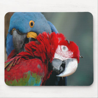 Trust Mousepad
