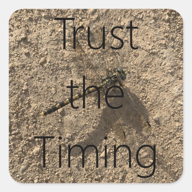 Trust The Timing - Sticker (Front)