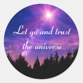 Trust The Universe  Classic Round Sticker