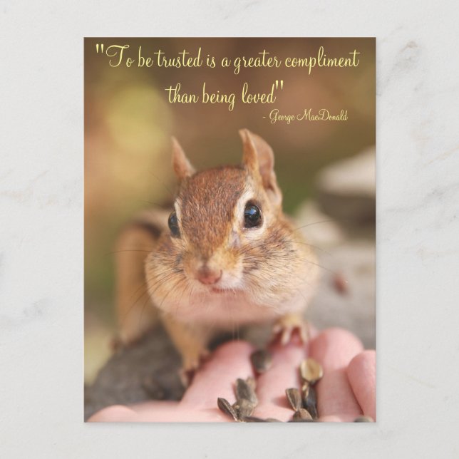 Trusting Chipmunk Postcard (Front)