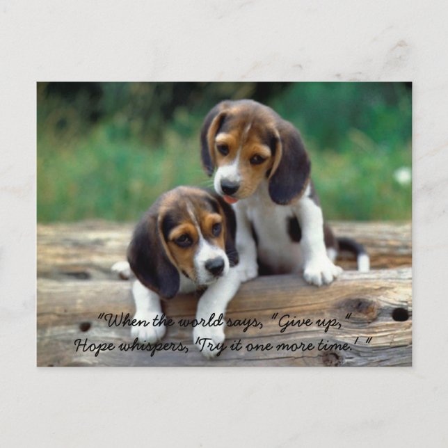 Try it one more time... postcard (Front)