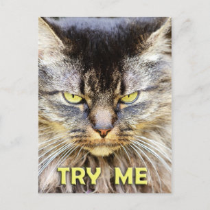 Try Me! Postcard