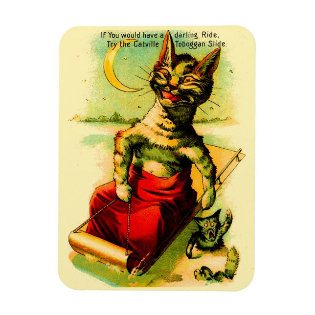 Try the Catville Toboggan Slide Magnet (Vertical)