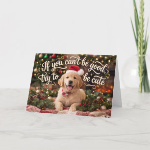 Try To Be Cute Golden Retriever Christmas Holiday Card