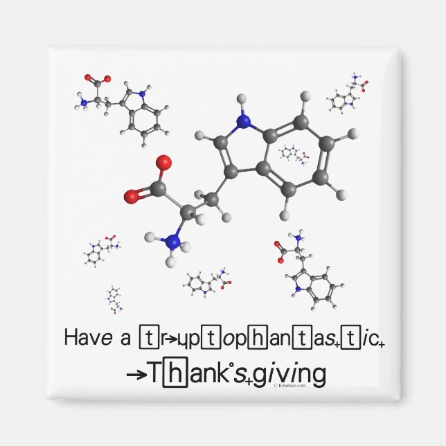 Tryptophan Molecule Magnet (Front)