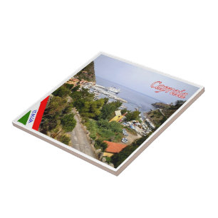 TSC127 CAPRAIA, Aerial View, Tuscany, Tile