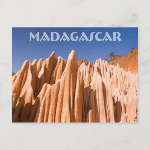 Tsingy rouges de Madagascar Postcard