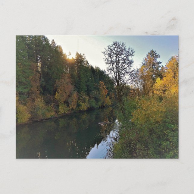 Tualatin River, Oregon Postcard (Front)