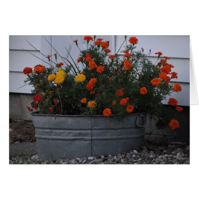 Tub Of Autumn Hues (Front Horizontal)
