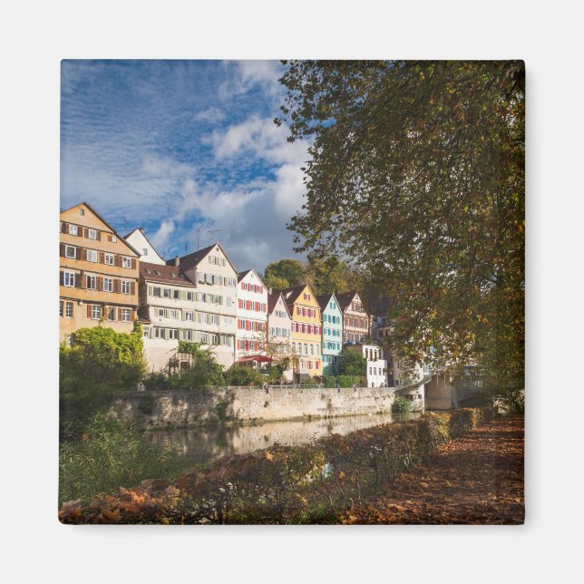 Tubingen Old Town Buildings Magnet (Front)