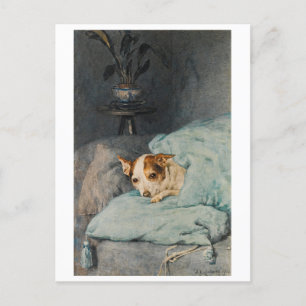 Tucked Up - Dog Postcard