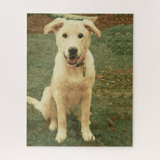 Tucker jigsaw puzzle