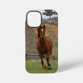 Tucker on the Run iPhone 12 Mini Tough Case