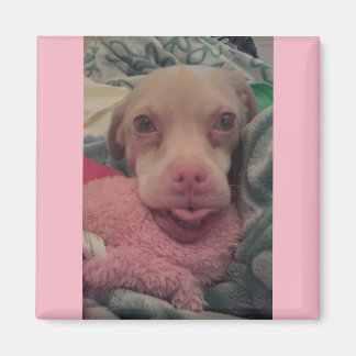 Tucker Wears Goggles Pink Accent Magnet