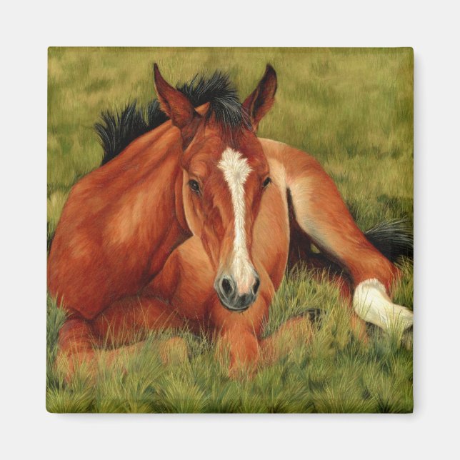Tuckered Out - Resting Foal Magnet (Front)