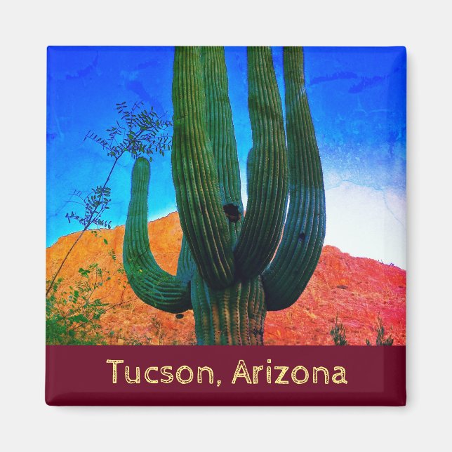 Tucson, Arizona Desert Cactus Magnet (Front)
