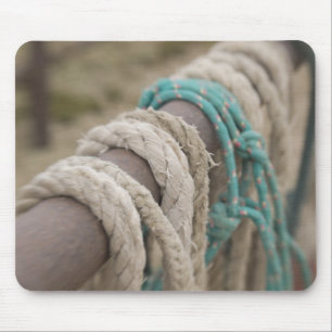 Tucson, Arizona: Ropes and hanrnesses used  on Mouse Pad