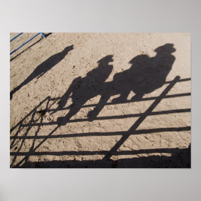 Tucson, Arizona: Shadows of Rodeo competitors Poster (Front)