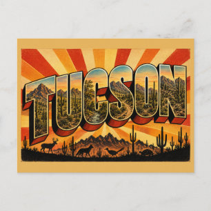 Tucson Arizona Sonoran Desert Mountain Art Postcard