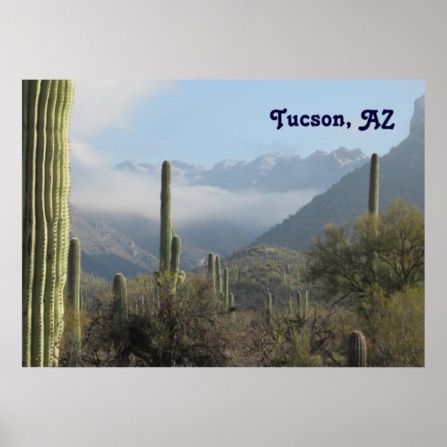 Tucson Desert Poster (Front)