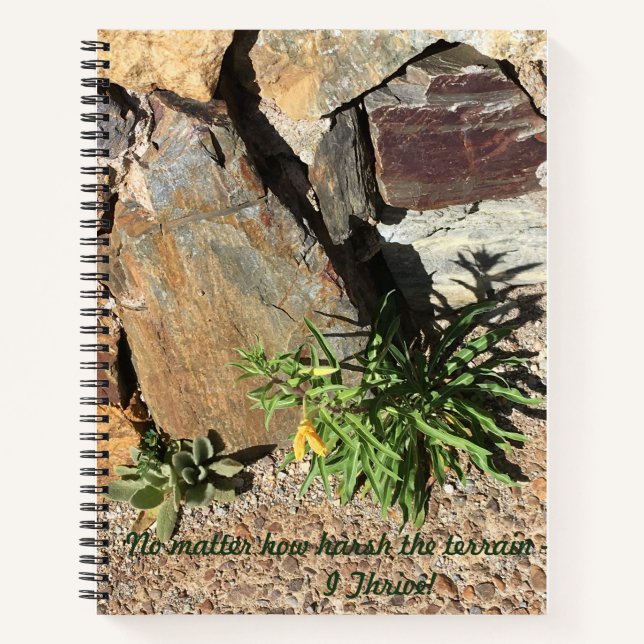 Tucson-Mt Lemmon Notebook (Front)