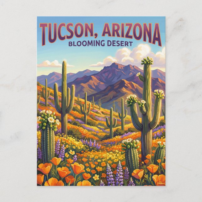 Tucson USA Postcard (Front)
