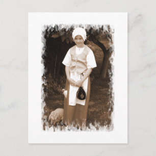 Tudor Rose Postcard