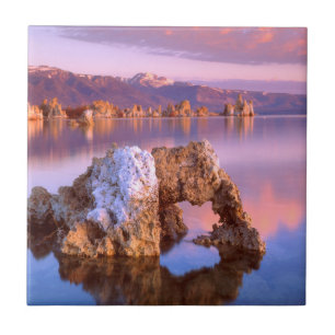 Tufa arch at Mono Lake Tile