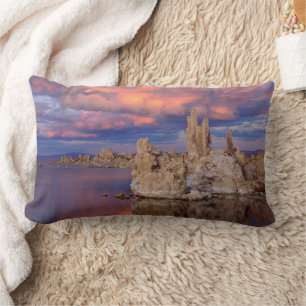 Tufa Formations on Mono Lake Lumbar Cushion