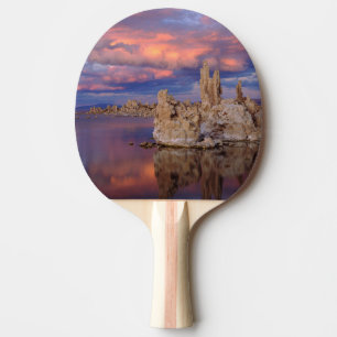Tufa Formations on Mono Lake Ping Pong Paddle