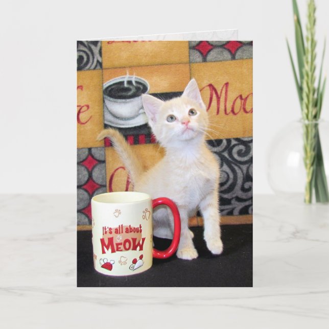 Tuffy McDuff's Mocha Dream Cat Birthday Card (Front)