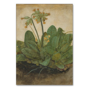 Tuft of Cowslips by Albrecht Durer Table Number