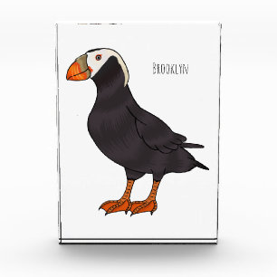 Tufted puffin bird cartoon illustration photo block