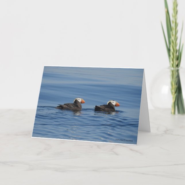 Tufted Puffins Thank you card (Front)