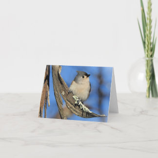 Tufted Titmouse blank inside Card