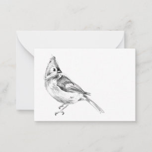 Tufted Titmouse Blank Note Card