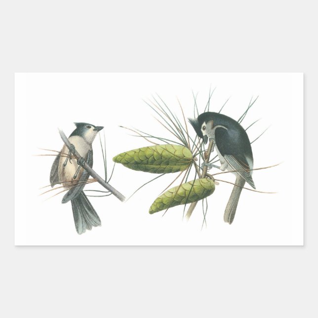 Tufted Titmouse by Audubon Rectangular Sticker (Front)