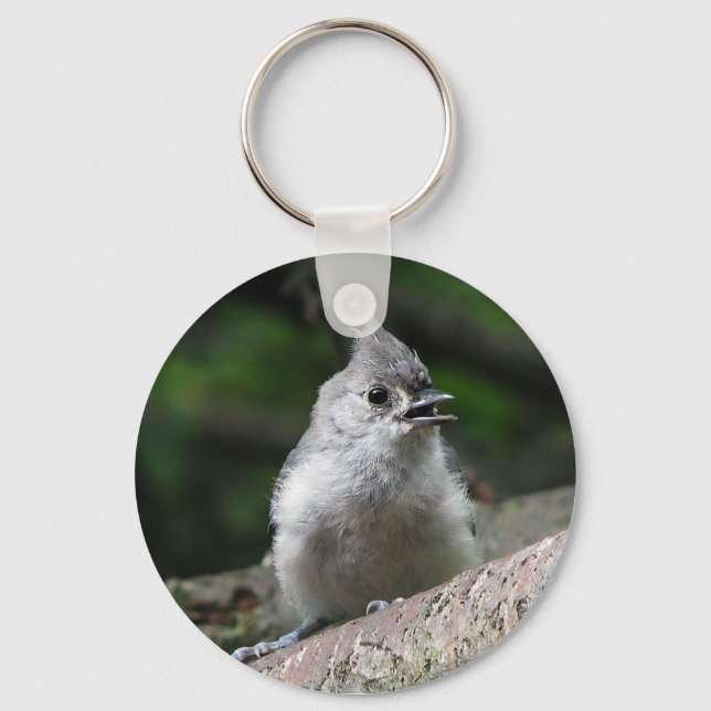 Tufted Titmouse Keychain (Front)